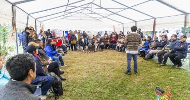 dia 1 curarrehue 721