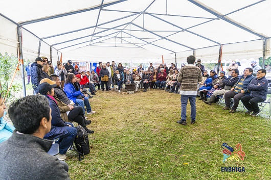 dia 1 curarrehue 721