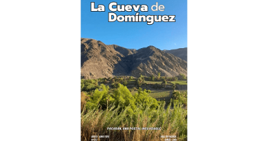 REVISTA JUNIO 2026 LCDD 16x91